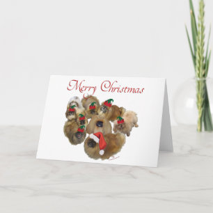 Grupo de Pekines Navidad