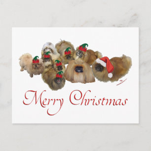 Grupo de Pekines Navidad