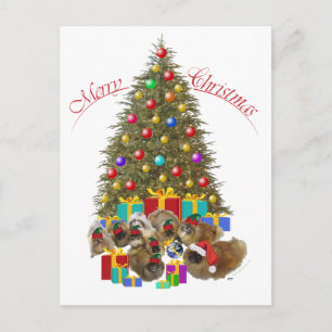 Grupo de Pekineses en Navidad