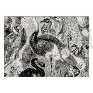 Grupo mezclado del pájaro del vintage - plantilla