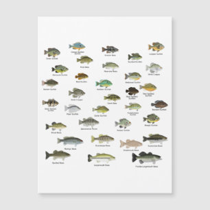 Grupo Sunfish de Norteamérica