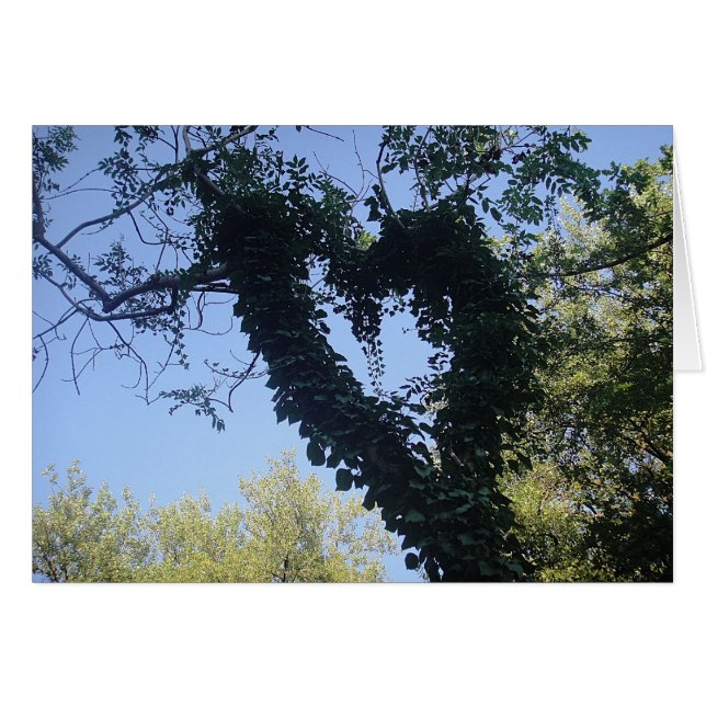 Grusskarte Baumherz, blanco (Anverso (Horizontal))