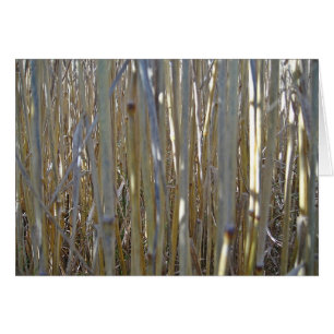 Grusskarte Kornstengel, blanko, gestaltbar