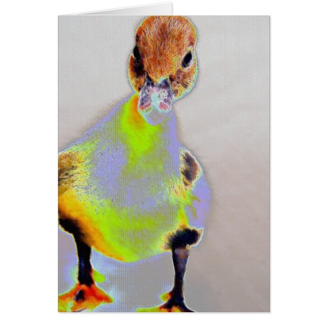 Gslow Muscovy (Frente)