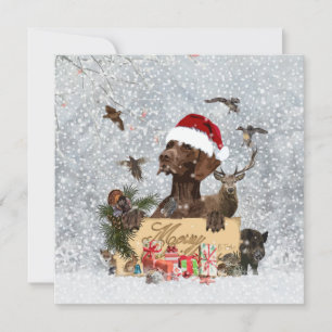 Gsp, navidades de perros