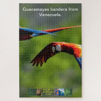 Guacamayas bandera del rompecabezas de Venezuela.