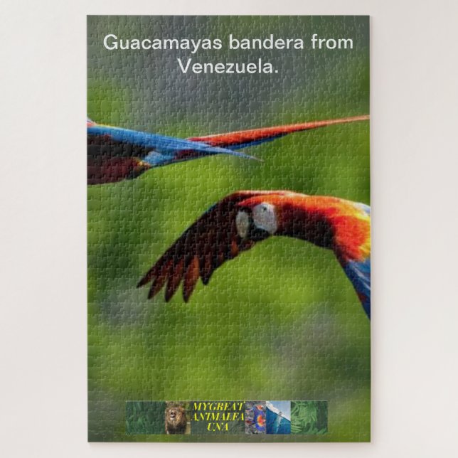 Guacamayas bandera del rompecabezas de Venezuela. (Vertical)