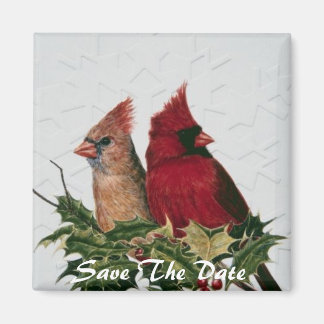 Guardar el imán de fecha