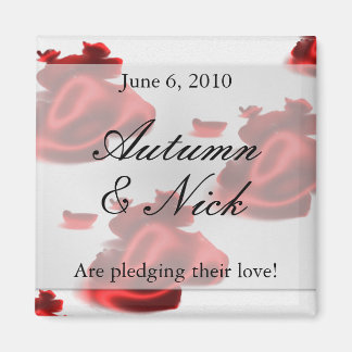 Guardar el imán de fecha