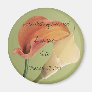 Guardar la fecha imán