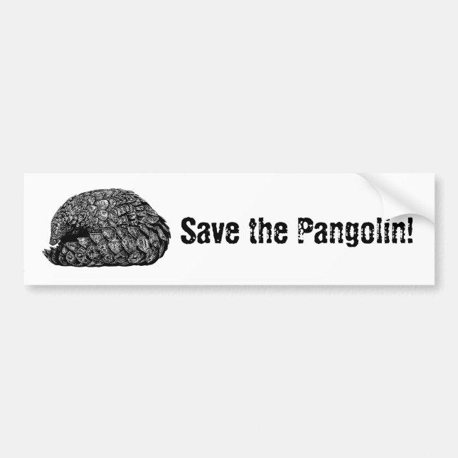 Guardar la pegatina del parachoques de Pangolin (Frente)