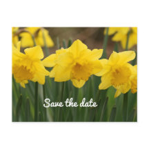 Guardar la postal de fecha