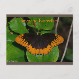 Guardar la postal de las mariposas Arkansas 2