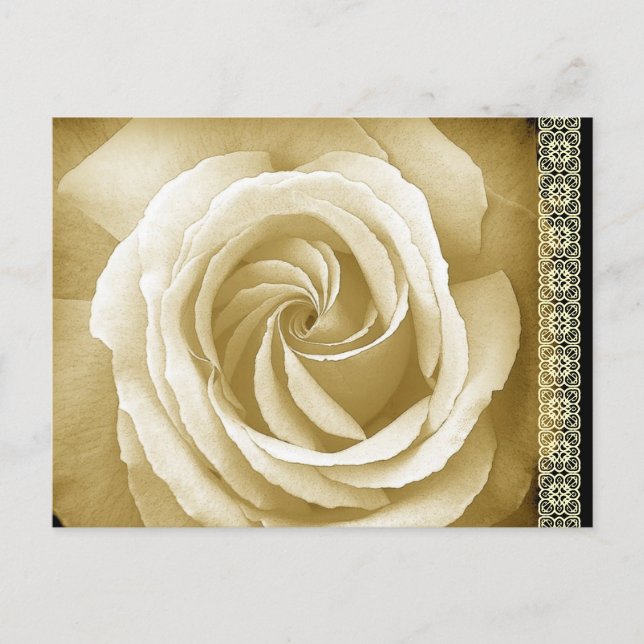 Guardar la tarjeta postal de fecha y Rosa de Sepia (Anverso)