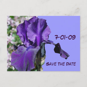 Guardar la tarjeta postal de foto de Iris púrpura