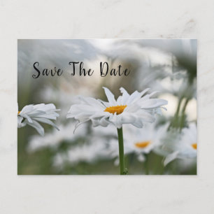 Guardar la tarjeta postal de Invitación de cumplea