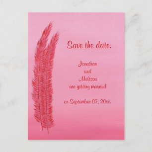 Guardar las postales de la boda, plumas rosadas ro