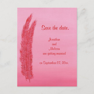 Guardar las postales de la boda, plumas rosadas ro
