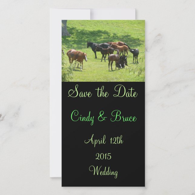 Guardar Las Tarjetas Fotos De Fecha (Anverso)