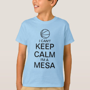 Guarde la camiseta de la bola de la cesta de la