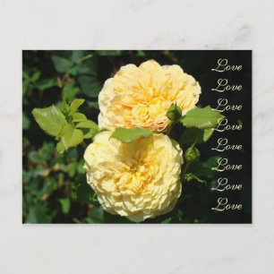 ¡Guarde la fecha! Tarjetas postales de boda de amo