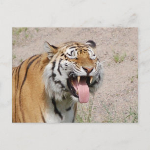 Guarde la postal sonriente
