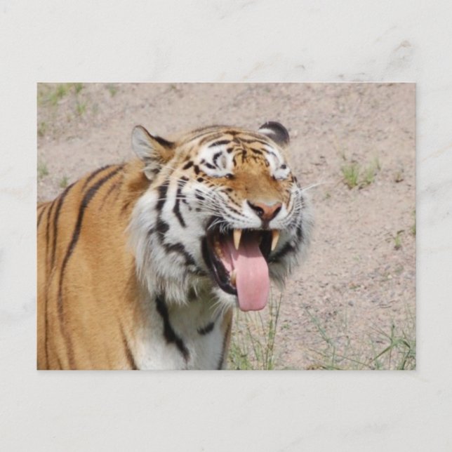 Guarde la postal sonriente (Anverso)