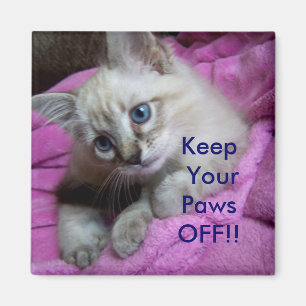 ¡Guarde sus patas APAGADO!! IMÁN DEL ARMARIO