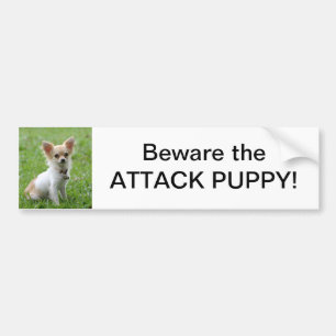 Guárdese de la pegatina para el parachoques del