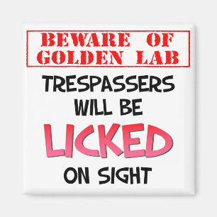 Guárdese de lamer el imán (blanco) de oro del