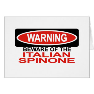Guárdese del italiano Spinone