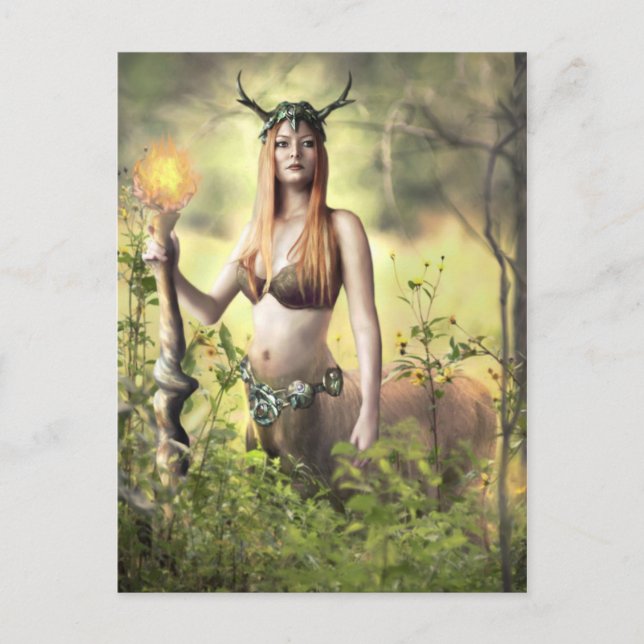 Guardián del bosque - Postal (Anverso)