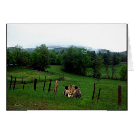 Guardián del Campo Esmeralda