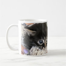 ¡Guau, te admiro! Taza de café de gato