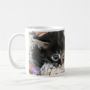 ¡Guau, te admiro! Taza de café de gato