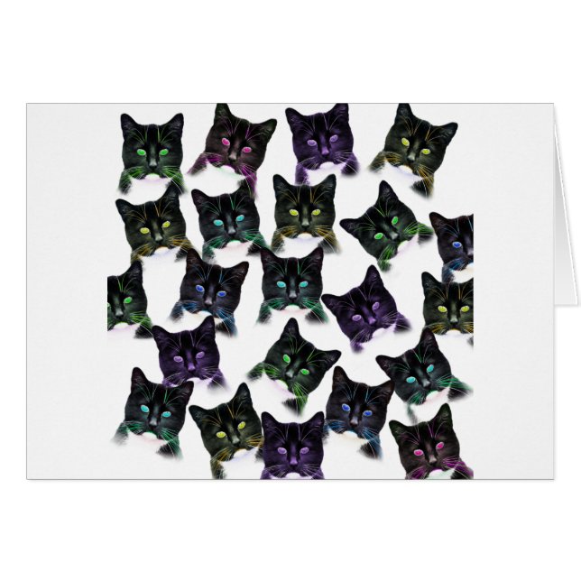 Guay Cats (Anverso (Horizontal))