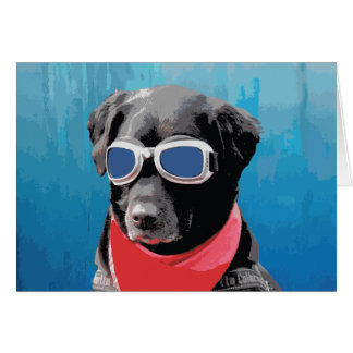 Guay Dog Black Lab Red Bandana Blue Goggggles