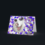 Guay Kids Birthday Dog - Tarjeta Purple Stars<br><div class="desc">Una linda tarjeta de cumpleaños para los niños,  con nuestra mezcla Collie/Husky,  el fresco perro cumpleaños usando sus gafas de sol muy frescas! El texto interno dice: "Hoy eres la estrella,  ¡Feliz cumpleaños!"</div>