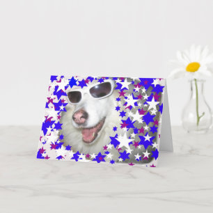 Guay Kids Birthday Dog - Tarjeta Purple Stars