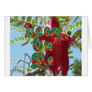 Guay Lean en mi parte inferior.jpg