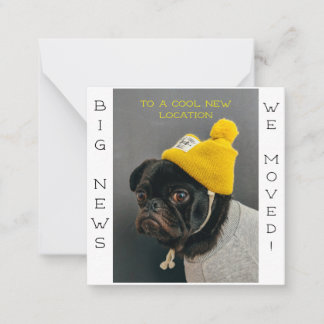 Guay Nueva ubicación Perro Pug! Postal