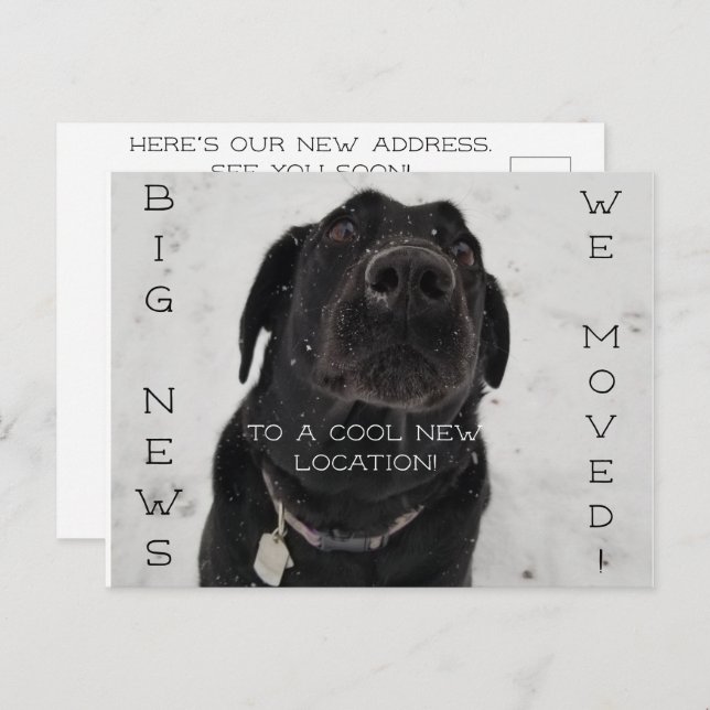 ¡Guay Nueva Ubicación! Postal (Anverso / Reverso)