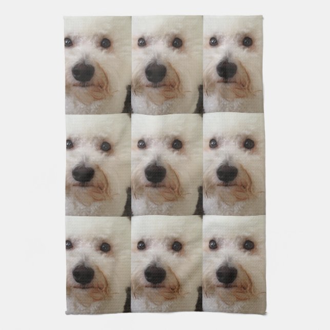 "Gucci" un Bichon Frise - toalla de cocina (Vertical)
