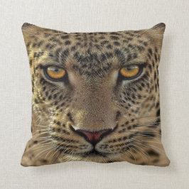 Guepardo del mascota de la almohada