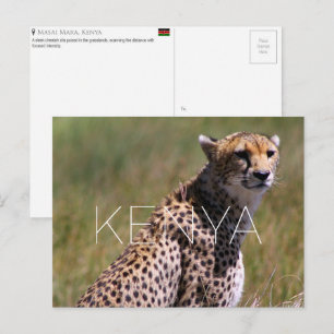 Guepardo en Masai Mara, Kenia Tarjeta Postal de Vi