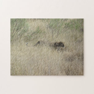 Guepardo en rompecabezas de Botswana, África