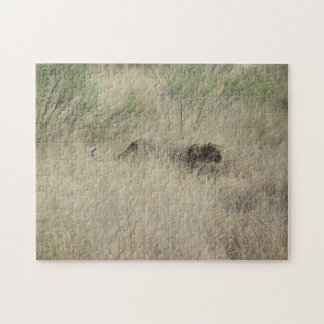 Guepardo en rompecabezas de Botswana, África