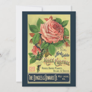 Guía antigua de la portada del libro de cultura de