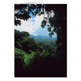 GUIANA FRANCESA: Vista del bosque lluvioso