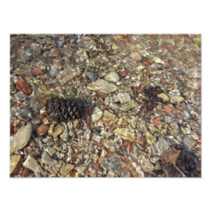Guijarros en la fotografía de naturaleza de Taylor